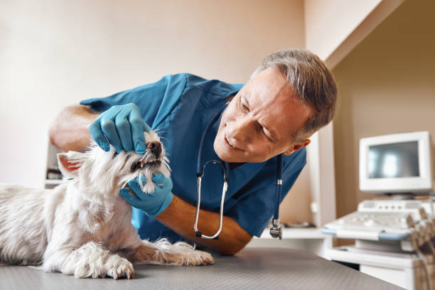 Best Emergency Tooth Extraction in Wayzata, MN
